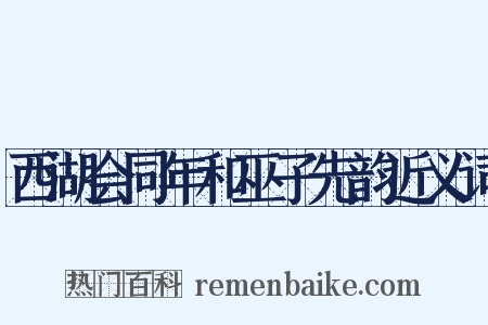 西湖会同年和巫子先韵近义词是什么意思的图片